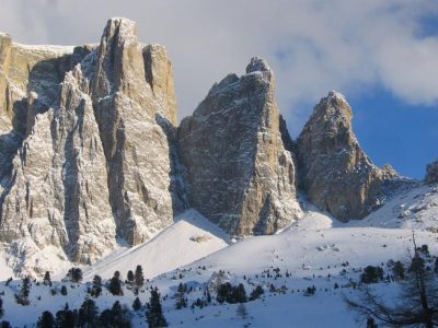 891B406DA6CD49BF2621B4B353121E7D